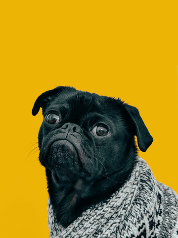 AI upscaled result